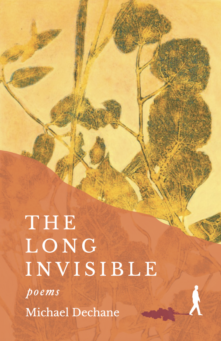 The Long Invisible by Michael Dechane